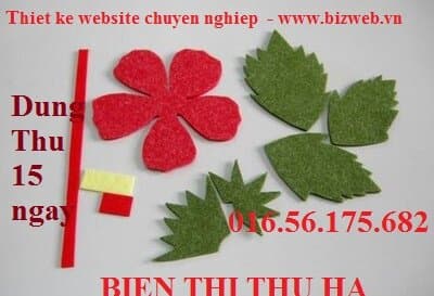 Nguyen T Matthew avatar