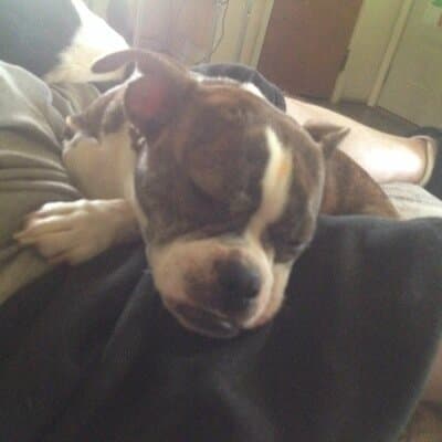 Stringfield Sully avatar