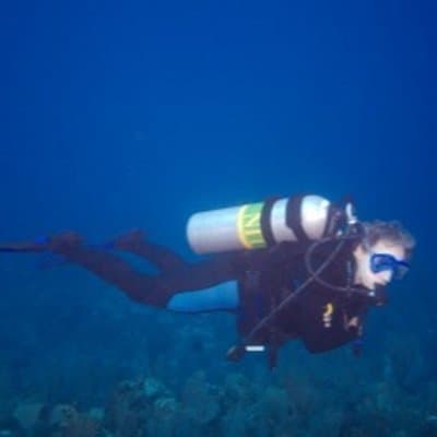 David Lyle Sharp avatar