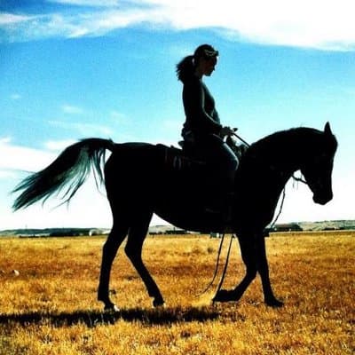 April Rose Swift avatar