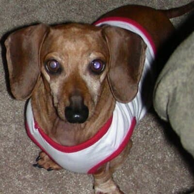 Ronnie Eugene Chesser avatar