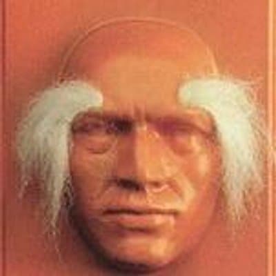 Vue Tang avatar