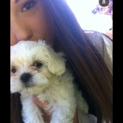 Kristen B Stonecipher avatar