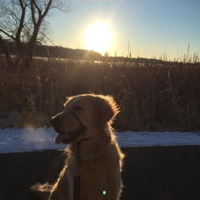 Ben Jacobs avatar