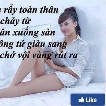 Trang T Tran avatar