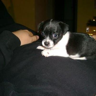 Ymari J Pyatt avatar