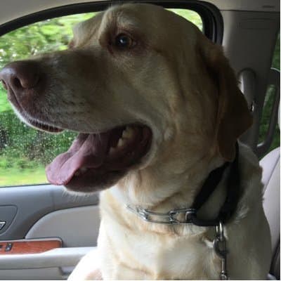 Charles A Jacobs avatar