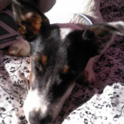 Gayla M Yoder avatar