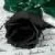 Lizeth Cuadras avatar