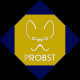 Richard Lynn Probst avatar