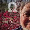 Dale K Soderstrom avatar