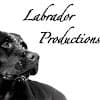 Felix A Labrador Sr. avatar