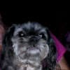 Ruby M Thornton avatar